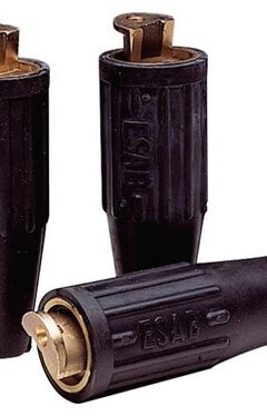 mut3101891041318078546