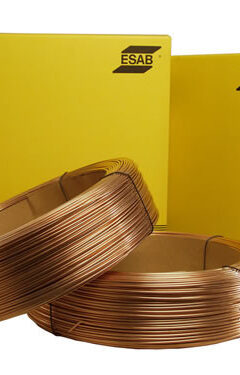 mut5587549781383604947